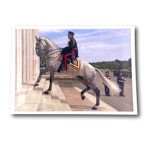 Postcard-Horse climbs Old College steps at RMAS